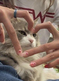 U know?ㅤㅤ•••